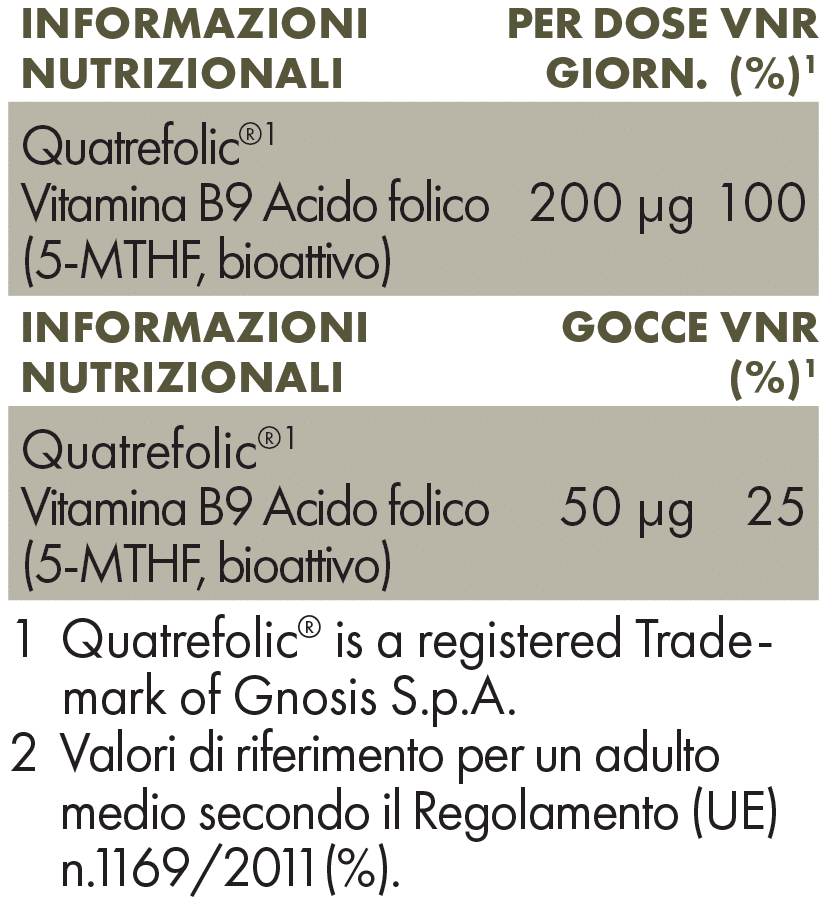 Acido Folico Liquido 20 ml