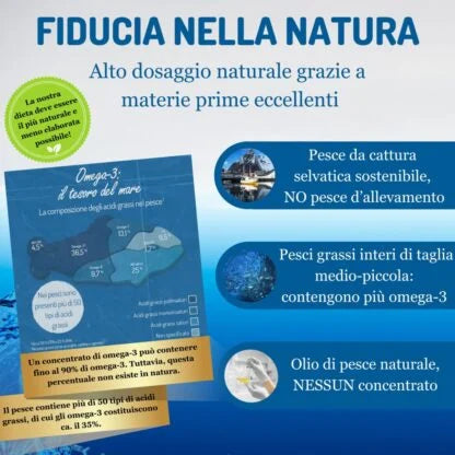 Omega 3 Capsule – Olio di Pesce & Estratto di Rosmarino