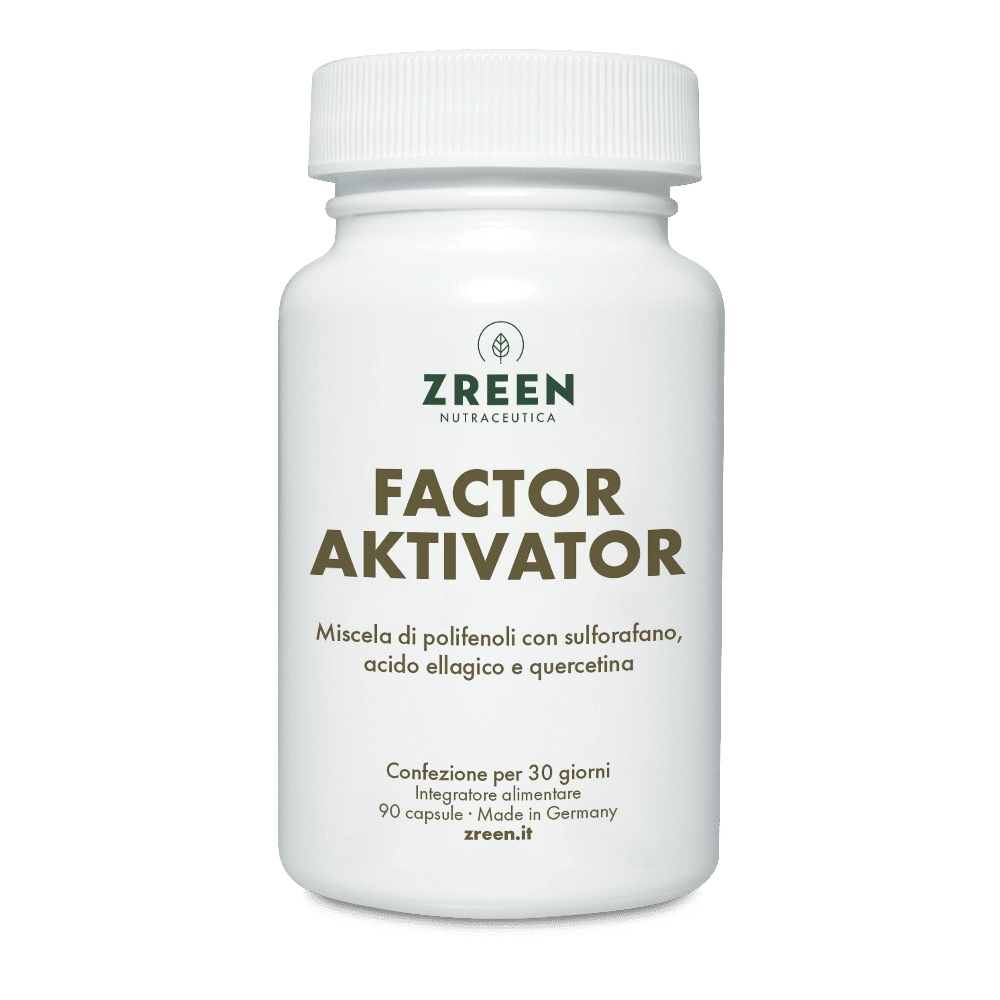 Factor Aktivator – Integratore con Quercetina, Sulforafano, Trans-Resveratrolo 90 Capsule (1 mese)